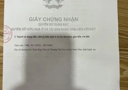 Cần bán 2 lô đất liền nhau Chao Hạ 1, Xã Nghĩa Lợi, Nghĩa Lộ, Yên Bái