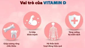 Vitamin D Và Vai Trò Quan Trọng Của Nó Trong Sức Khỏe Xương