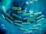 Lactobacillus là gì? Tác dụng và những điều cần lưu ý